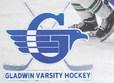 Gladwin hockey team falls in Division 3 regional final