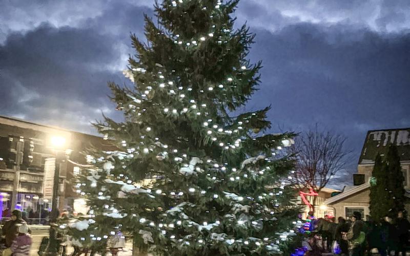 Lights are on for holiday season