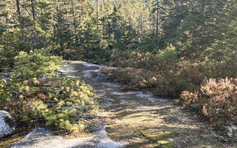 Pictured above is a view of Mt. Katahdin from Rainbow Ledges.