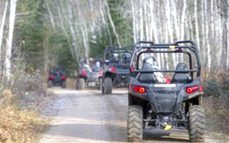 Explore 11,800 miles of state forest roads: ORV maps available online