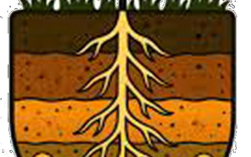 “Soil. Where it all Begins” contest announced