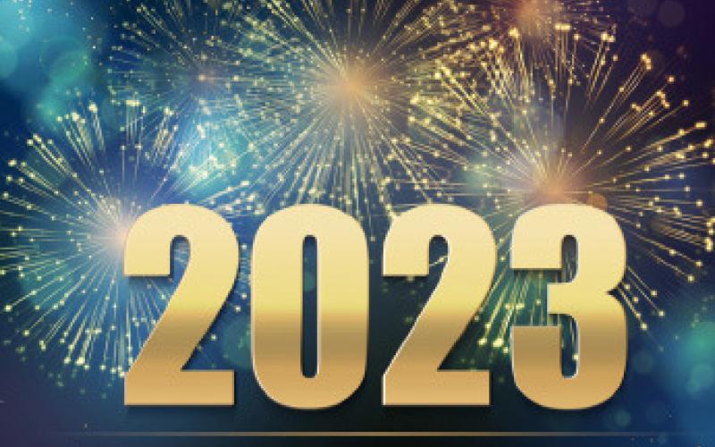 YEAR IN REVIEW