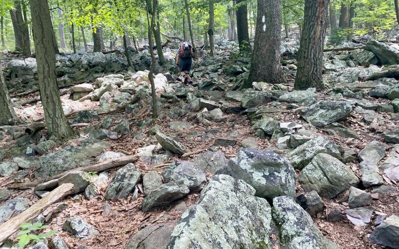 John Del Percio makes his way through an area of rough trail conditions on the Roller Coaster. Inset picture is official photo taken at the A.T. trail office in Harpers Ferry.