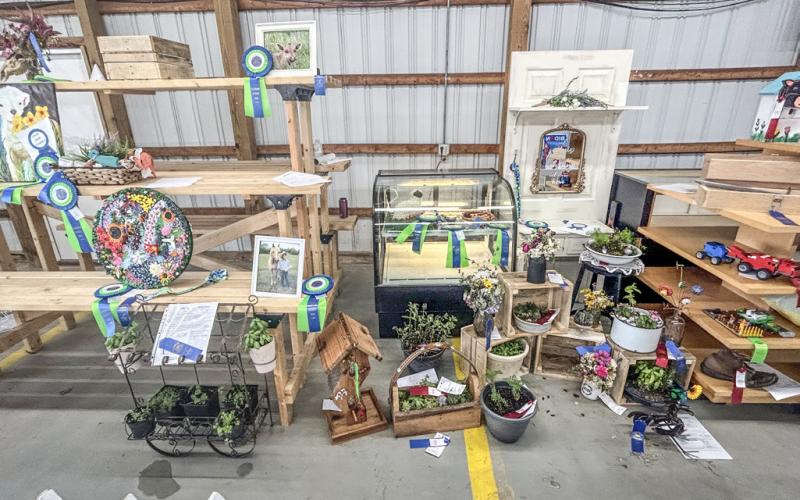 Still exhibit program is on the rise at the Gladwin County Fair