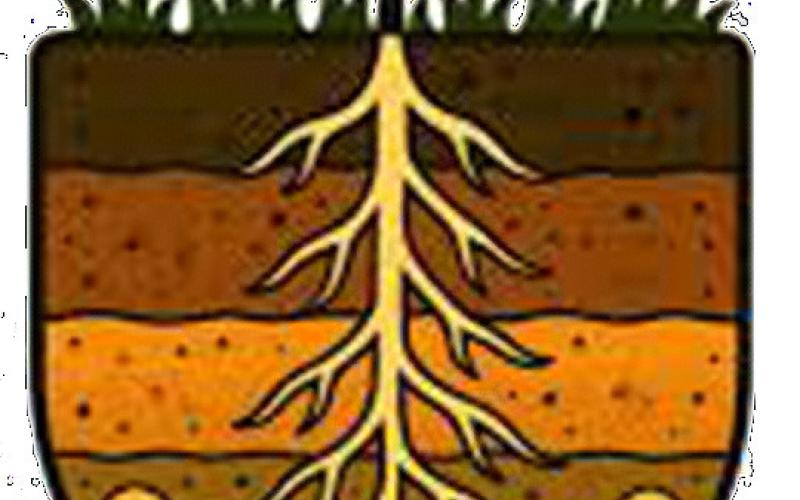 “Soil. Where it all Begins” contest announced