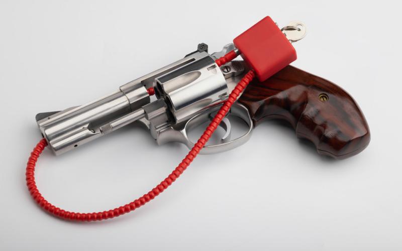 MDHHS emphasizes firearm safety, and education on jubilee of secure storage law