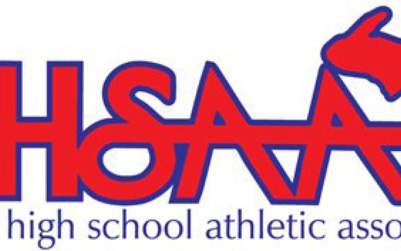 MHSAA girls wrestling District, Regional team titles headline winter additions