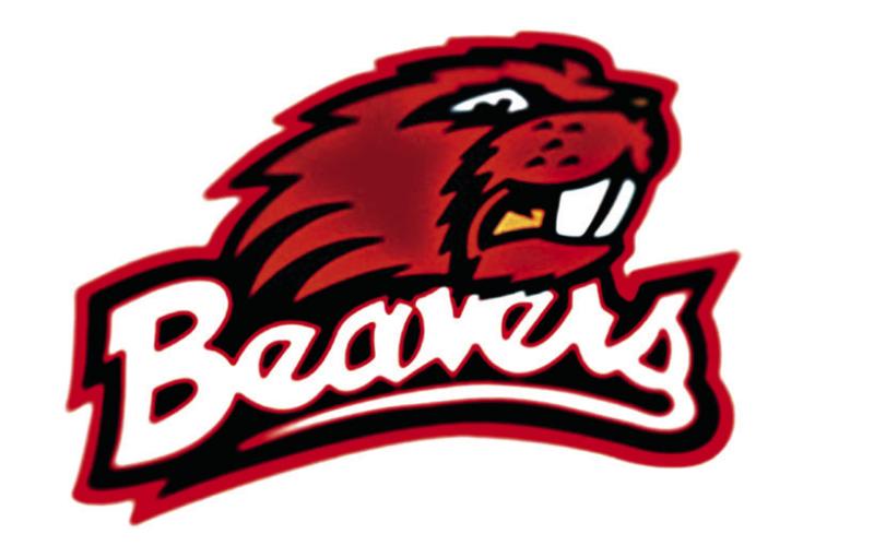 Beaverton Volleyball falls to Oscoda in regionals