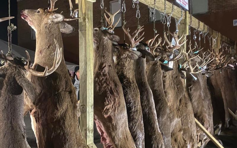 Back 40 buck pole event to return Saturday