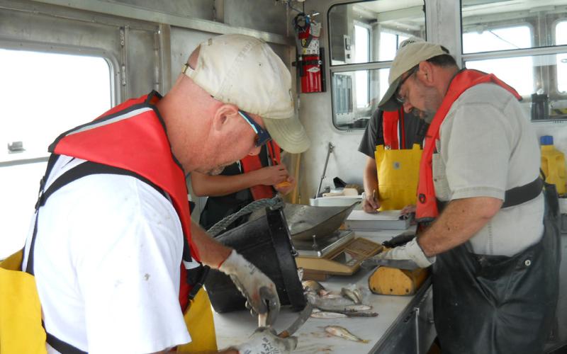 DNR shares fisheries survey findings