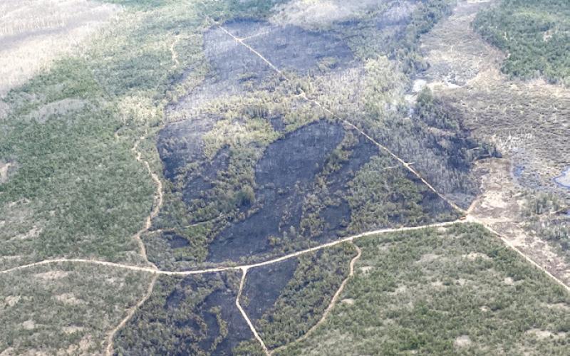 Tomahawk Lake Fire: An aerial view, at roughly 1:30 p.m. Monday, of the land in Presque Isle County burned by the Tomahawk Lake Fire. The fire started late Sunday and is now 90 percent contained.