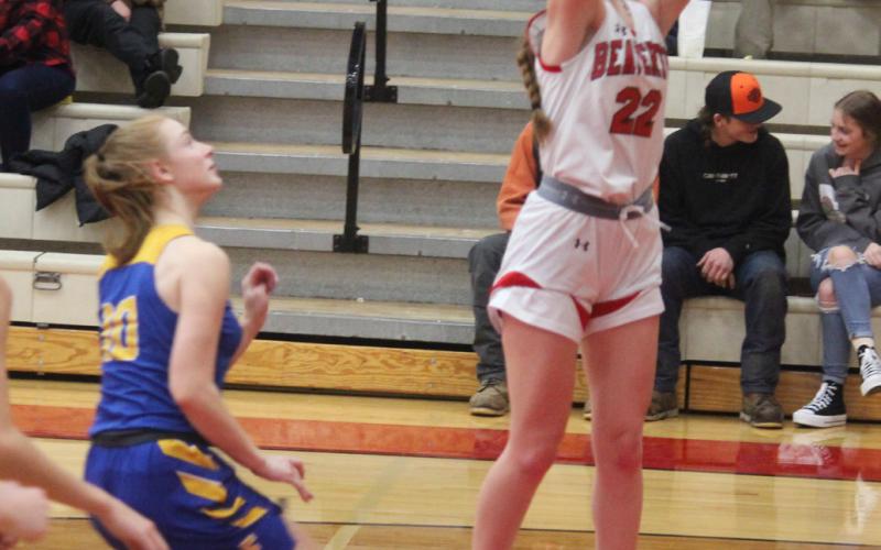Lady Beavers struggle against aggressive Evart