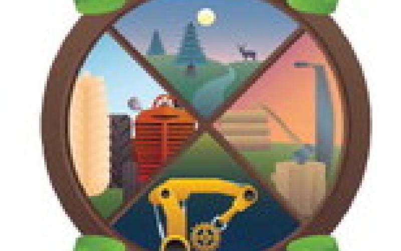 Happenings in Gladwin County during its first half-century