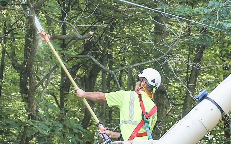 A contractor trimming trees in a utility vehicle uses a long, sharp tool to trim tree branches. CONSUMERS ENERGY