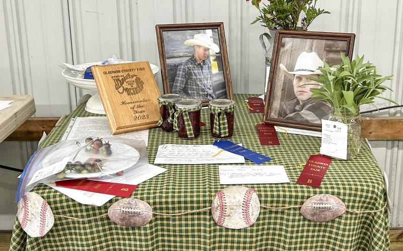 Gladwin County Fair Homemaker of the Year