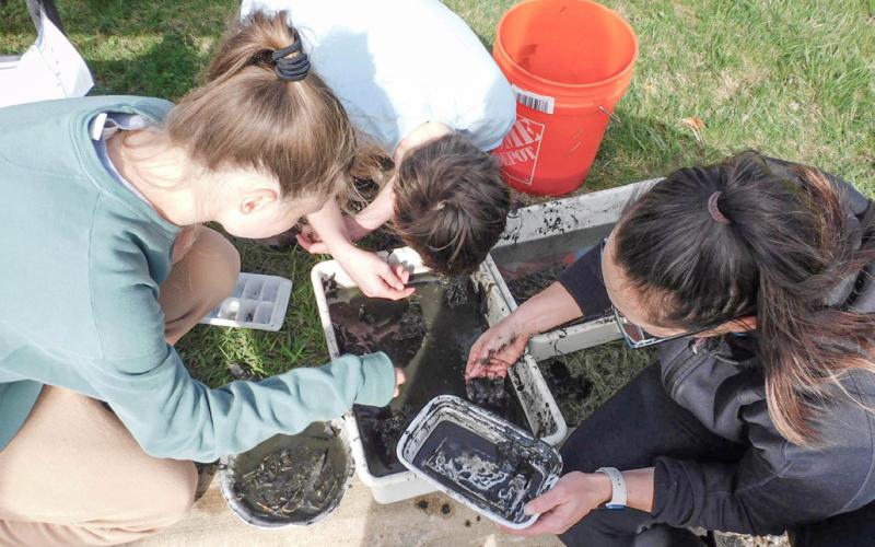 Skyline High School students collecting data during their annual pond project testing the school’s pond water quality ASHLEY HAN