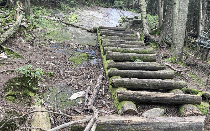 Pictured above, Ladder section on the way to the peak of Smarts Mountain. Pictured below, trail going along Franconia Ridge, which forms the backbone of the Franconia Range, stringing together all of its major summits.