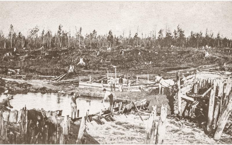 A LOOK BACK IN TIME | RIVER HOGS
