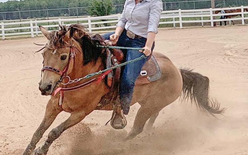 Chloe Lawrason shares her 4-H experience