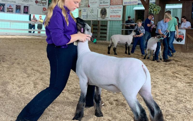 Chloe Lawrason shares her 4-H experience