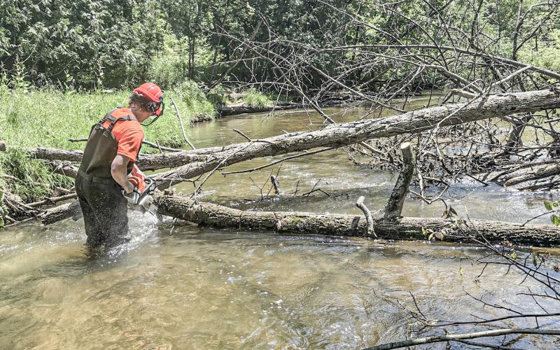 GCD clears Cedar River from Buckeye Trailhead to Ross Lake