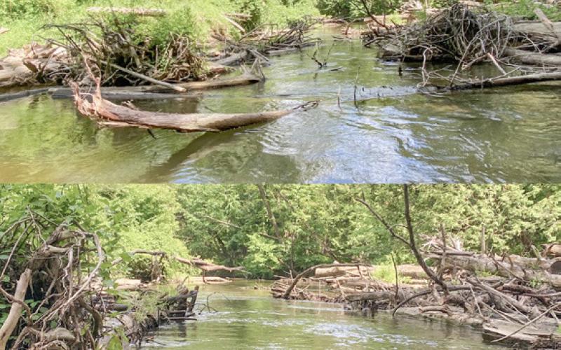 GCD clears Cedar River from Buckeye Trailhead to Ross Lake