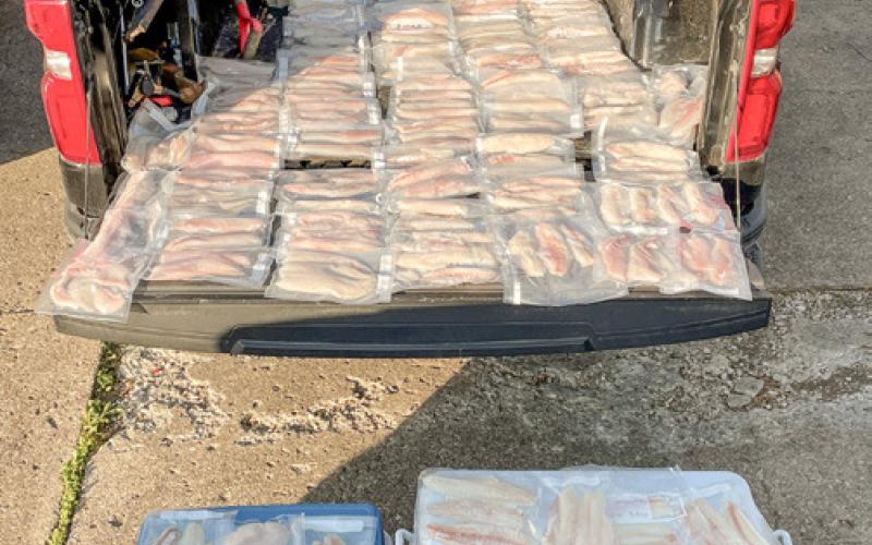 Michigan DNR conservation officers seized an overlimit of 34 walleye Friday from a group of anglers who were renting a property in the city of Detroit for a fishing trip on the Detroit River.
