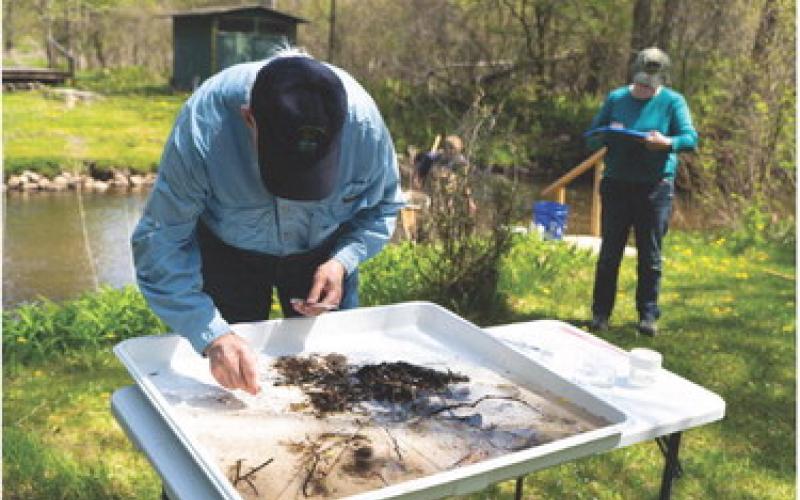 Volunteers collecting macroinvertebrates samples to be used to determine water quality.