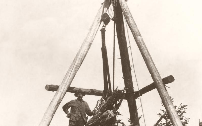 A LOOK BACK IN TIME | STUMP REMOVAL