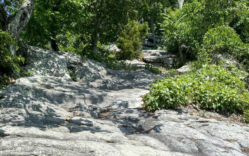 Over mountains and through woods: part three