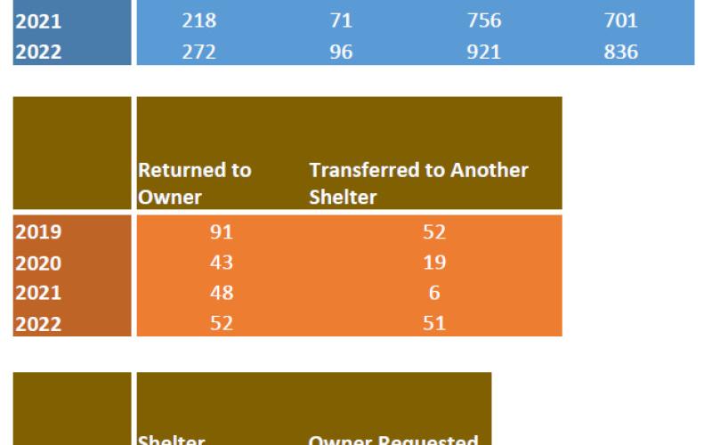 Gladwin County Animal Shelter stats 2019-2022