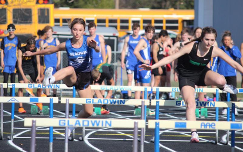 Gladwin Track and Field shines in several