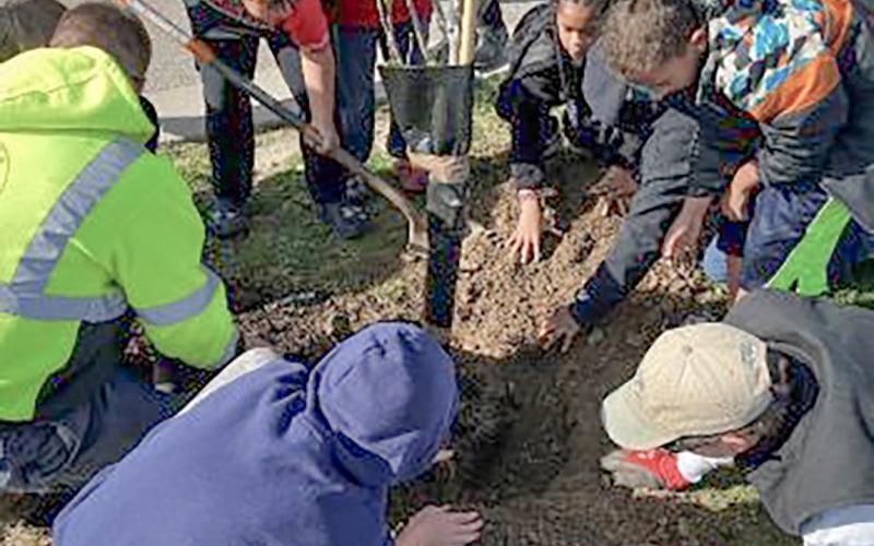 People plant a tree as part of the DTE Foundation’s tree grant program.