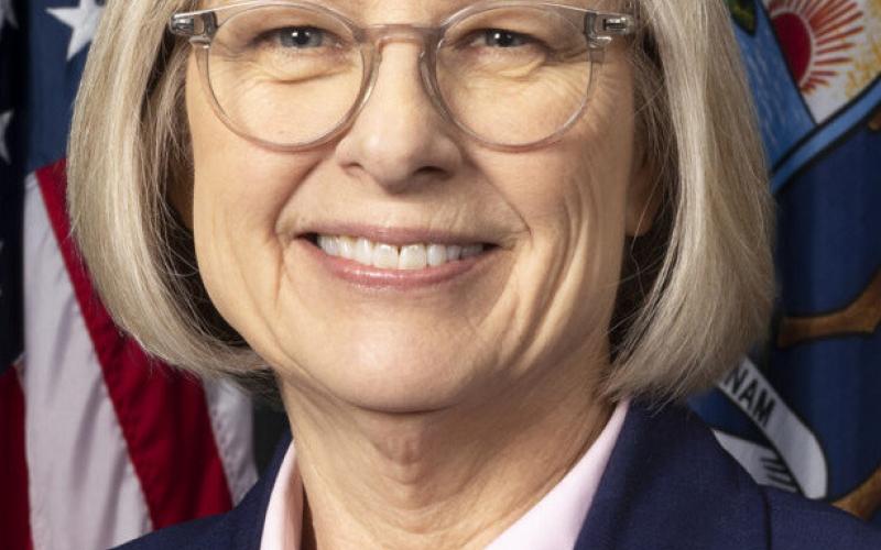 Rosemary Baye MICHIGAN SENATE