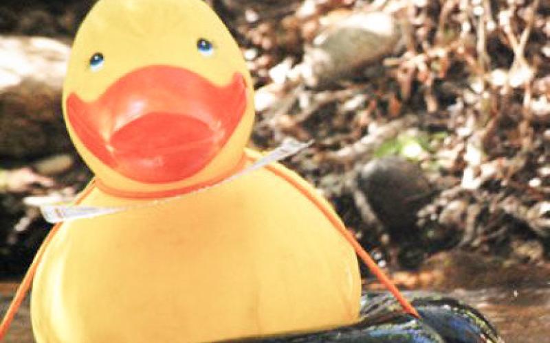 Hospice of Gladwin Area celebrates Great Cedar River Duck Race