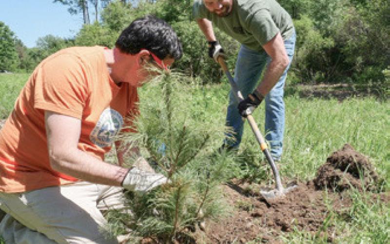 Stewardship Series event with Little Forks Conservancy
