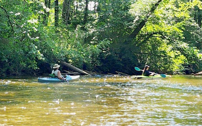 Little Forks Conservancy offers free conservation program for landowners