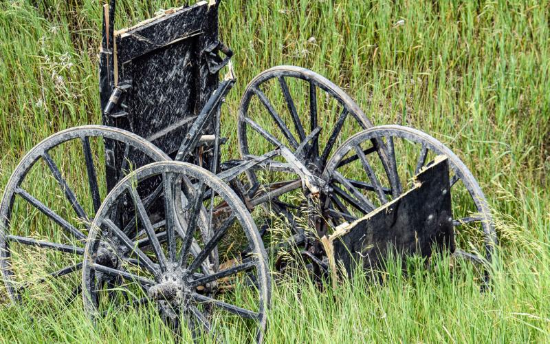 Amish woman in critical condition