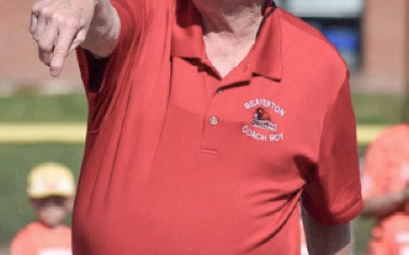 Beaverton and Gladwin little leagues start their seasons