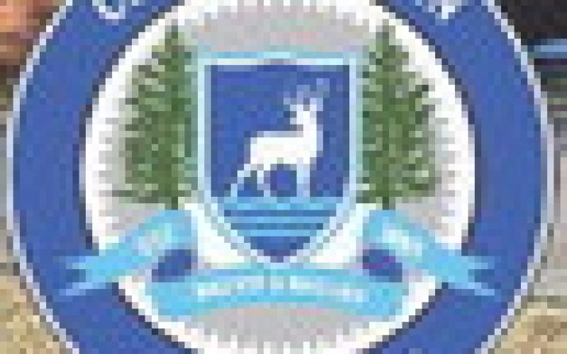 City projects and plowing discussed by council