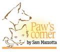 Can pet cancer be prevented? What owners should know