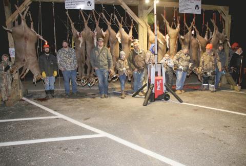 Buck poles in Gladwin County