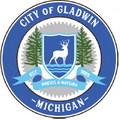Council accepts City Manager Shannon’s resignation