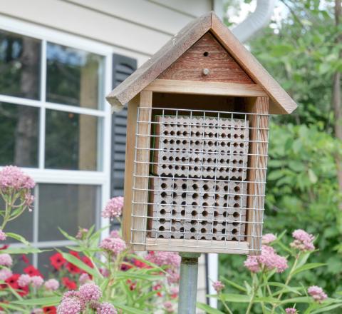 The Stewardship Series, in the first workshop, will teach you how insect homes promote native pollinators, how to construct and maintain them, and resources for implementing them on their own property.