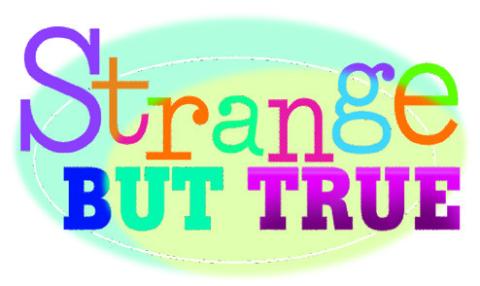 Strange BUT TRUE