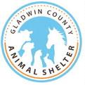Gladwin County Animal Shelter seeks new Advisory Committee Members