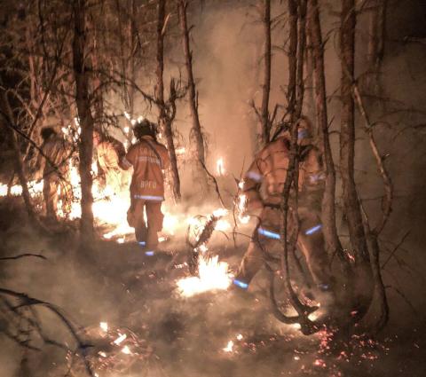 Firefighters fight a wildfire in Newaygo County. DEPARTMENT OF NATURAL RESOURCES