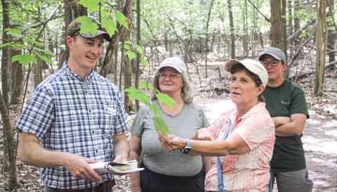 New local forester Mike Dittenber leaves nothing to chance when helping people identify a leaf at the Gladwin County Recreation Area last week.