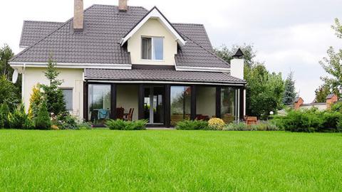 How to Grow a Greener Lawn