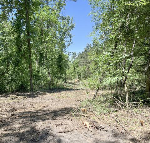 Trail of Two Cities begin extension construction